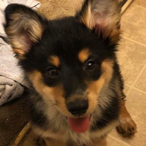 Meet your Posher, Kerry